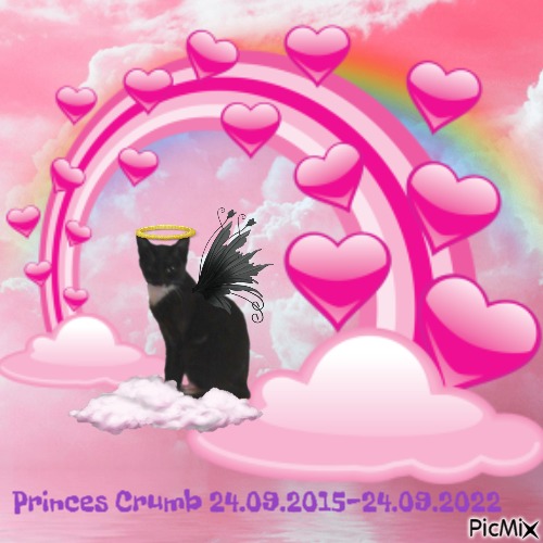 Princess Crumb - Free PNG