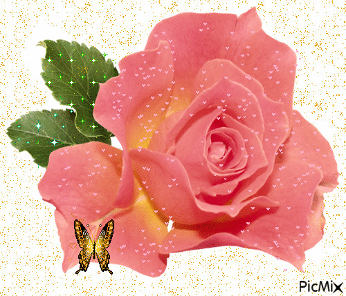 trandafir - GIF animado grátis