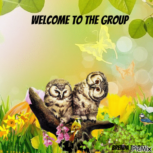 welcome owl - GIF animado grátis