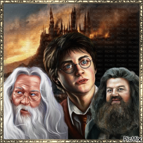 Harry Potter. - GIF animé gratuit