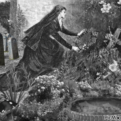 BRIDE IN MOURNING - 免费动画 GIF