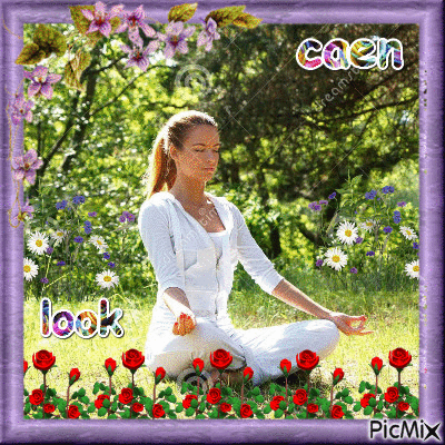 LOOK CAEN - Free animated GIF