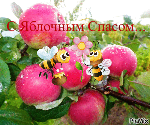 С яблочным спасом - Ingyenes animált GIF