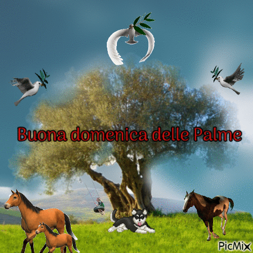 Domenica delle palme - Безплатен анимиран GIF
