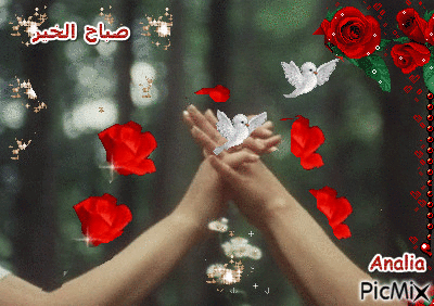 صباح الخير***good morning - Бесплатный анимированный гифка