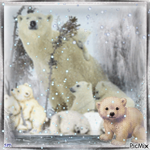 osos polares!!!!!! - GIF animé gratuit