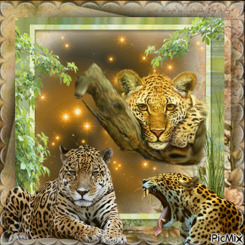 léopard - Gratis geanimeerde GIF