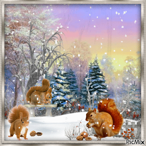 Écureuil en hiver. - GIF animé gratuit