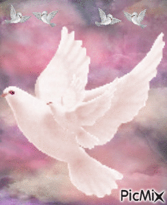 PINK DOVE IN PINK, PURPLE.AN WHITE SKY. AND FOUR LITTLE DOVES. - Бесплатни анимирани ГИФ