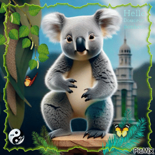 Koala - GIF animé gratuit