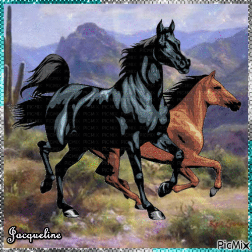 superbes chevaux - Darmowy animowany GIF