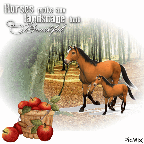 Horses Make Any Landscape Look Beautiful - GIF animasi gratis
