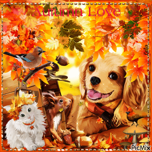 Autumn Love. Squirrel, dog, cat, birds - Бесплатни анимирани ГИФ