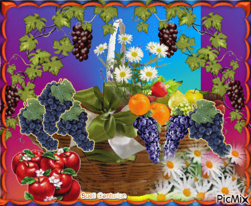 Cesta de Flores e Frutos - GIF animado grátis