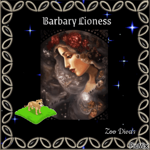 Barbary Lioness - GIF animate gratis
