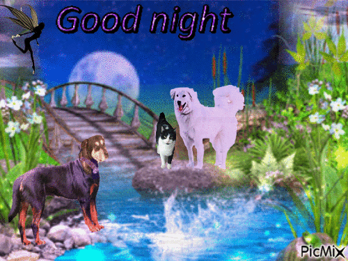Good night - Free animated GIF