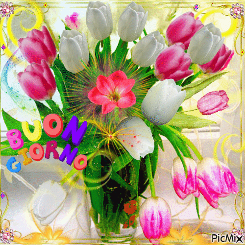 Buongiorno con tulipani - GIF animasi gratis