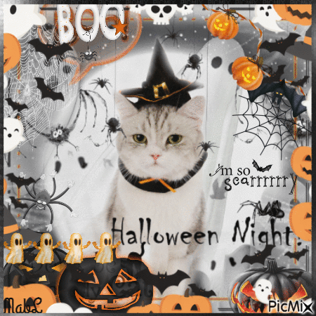 Chat d'Halloween - Free animated GIF
