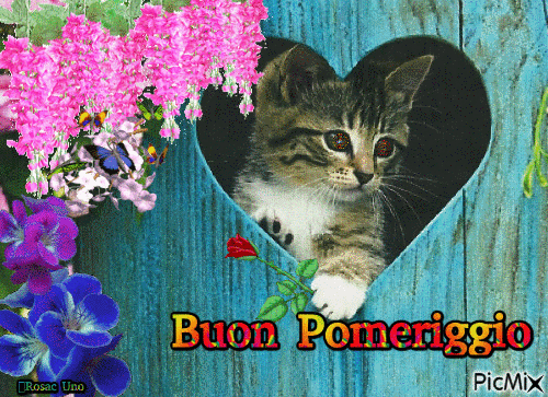 Buon Pomeriggio - Free animated GIF