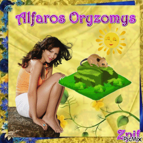 Alfaros Oryzomys - GIF animado grátis