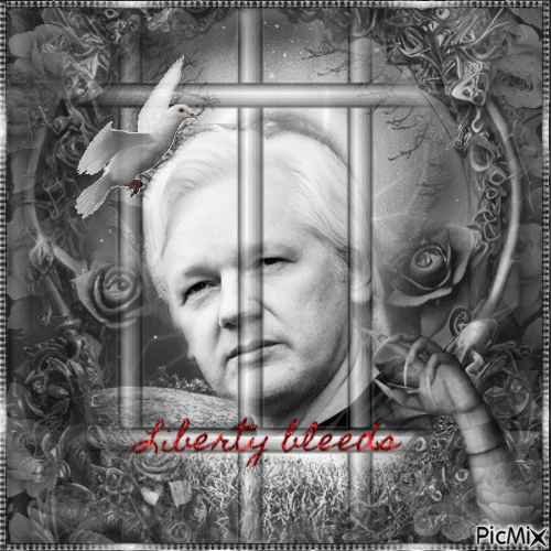 Julian Assange (The real journalist) - Δωρεάν κινούμενο GIF