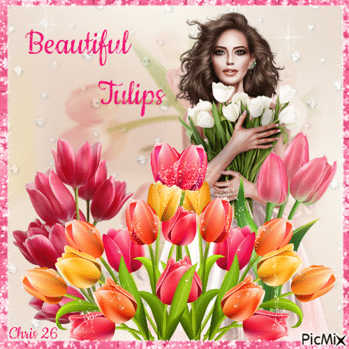 Contest... Beautiful Tulips - GIF animado gratis