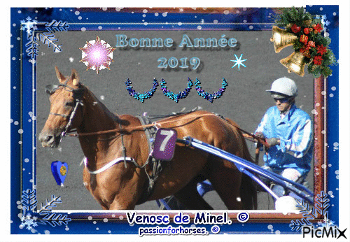 Le champion Venosc de Minel. © - Бесплатни анимирани ГИФ