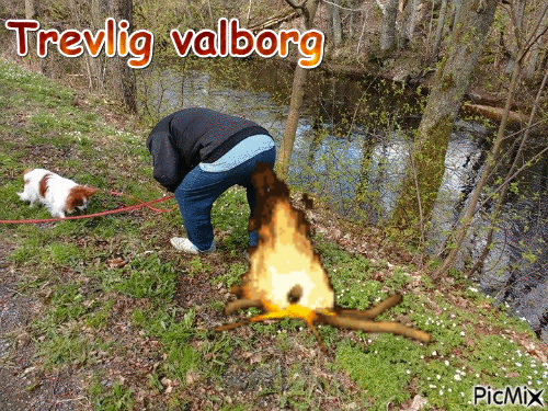 valborg - GIF animé gratuit