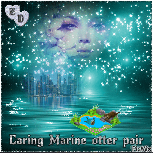 Caring Marine otter pair - 免费动画 GIF