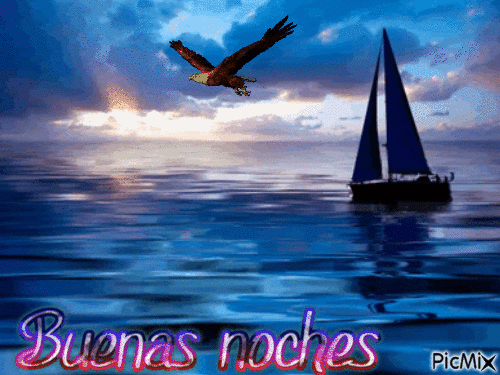 BUENAS  NOCHES - Zdarma animovaný GIF