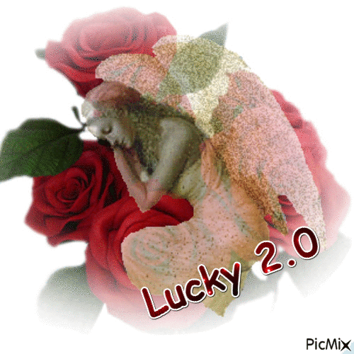 lucky 2.0 - GIF animé gratuit