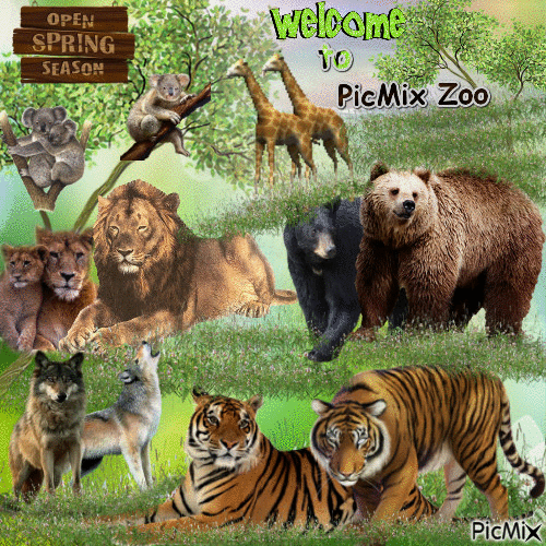 Welcome to PicMix Zoo - Gratis geanimeerde GIF