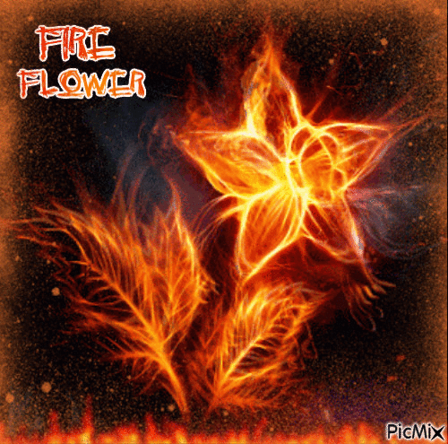 Fire Fower - Бесплатный анимированный гифка
