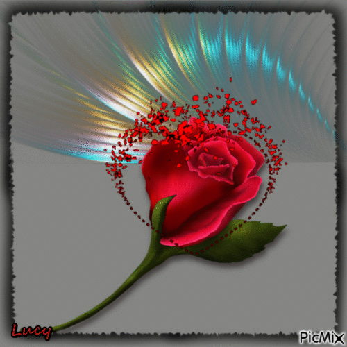 Red rose - Бесплатный анимированный гифка