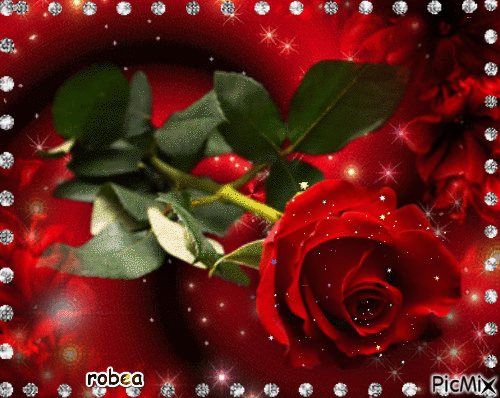 Une rose pour vous mes amies - Ücretsiz animasyonlu GIF