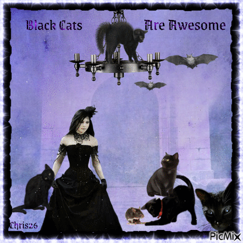 Black Cats.........CONTEST - Free animated GIF