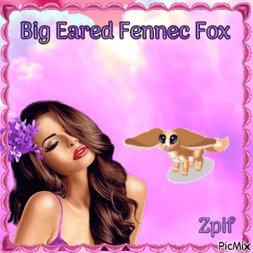 big eared fennec fox - Бесплатни анимирани ГИФ