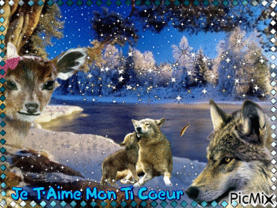 le coin des animaux - Free animated GIF