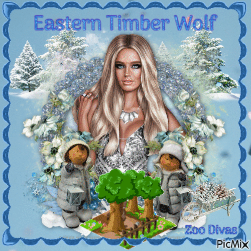 Eastern timber wolf winter - Kostenlose animierte GIFs