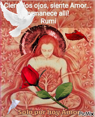 Rumi - GIF animado grátis