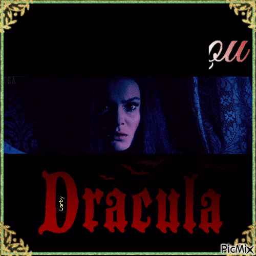Ms Dracula