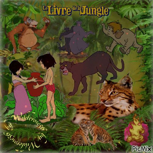 Dschungel - Darmowy animowany GIF