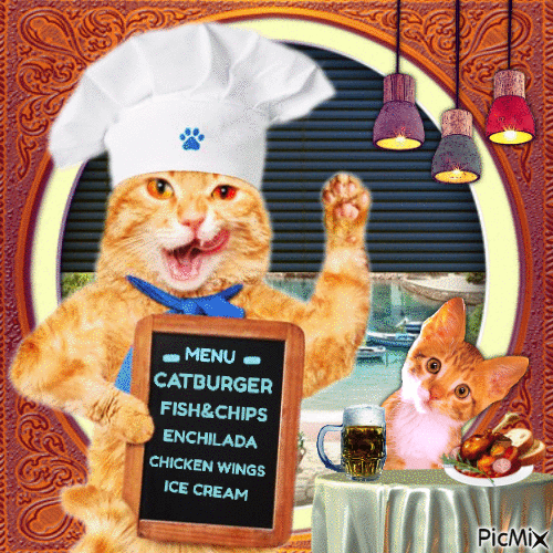 Cat Chef - Nemokamas animacinis gif