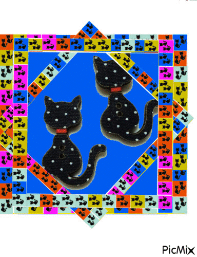 cats collor - Free animated GIF