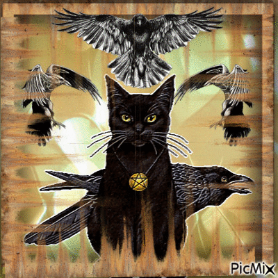 raven cat - GIF animé gratuit