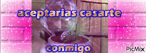 ACEPTARIAS CASARTE CONMIGO - GIF animé gratuit