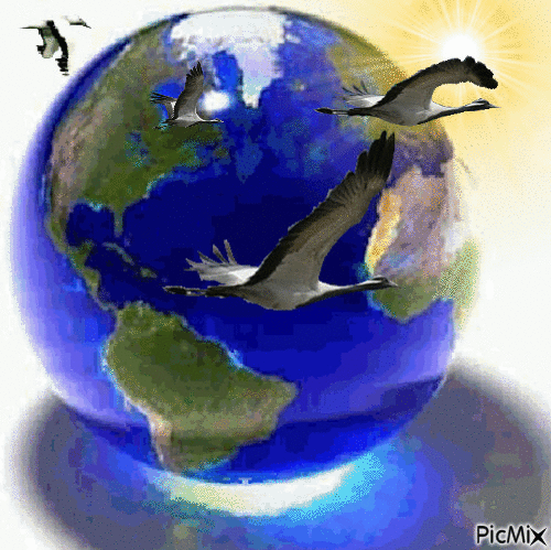 země - Ingyenes animált GIF