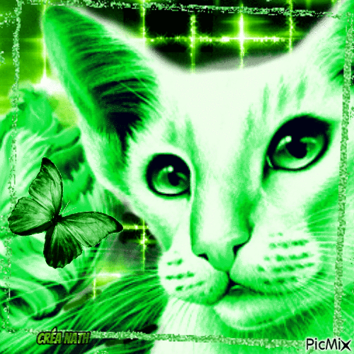 Chat vert et glitter - GIF animado grátis