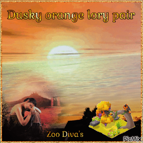 Dusky orange lory pair - GIF animé gratuit