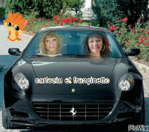 carlouta et son amie françinette - GIF animate gratis